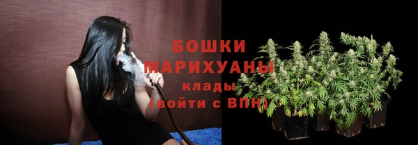 дурь Горнозаводск