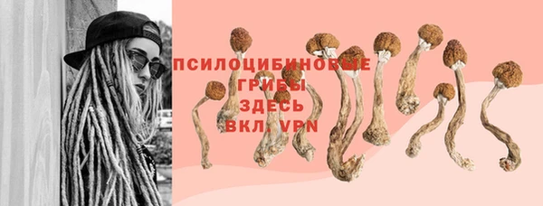 мяу мяу мука Горняк