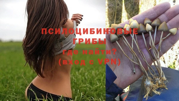 дурь Горнозаводск