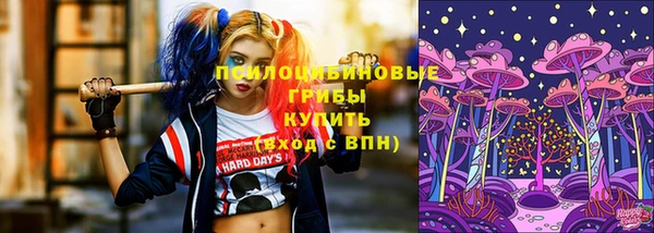 ECSTASY Горно-Алтайск