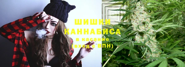 дурь Горнозаводск